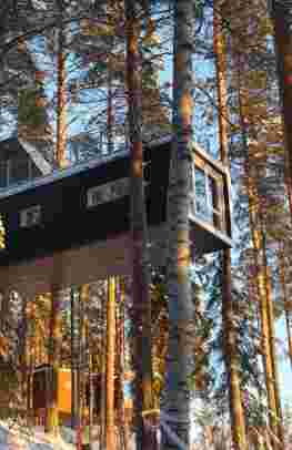 Treehotel, Nordlichter & Tromsø